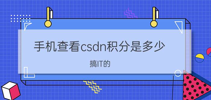 手机查看csdn积分是多少 搞IT的，想干点私活，怎么才能拉到单子？